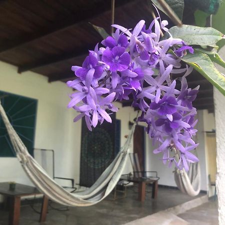 El Pargo Feliz Hotell Montezuma Eksteriør bilde