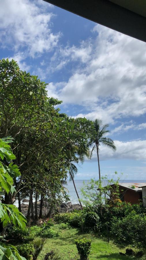 El Pargo Feliz Hotell Montezuma Eksteriør bilde