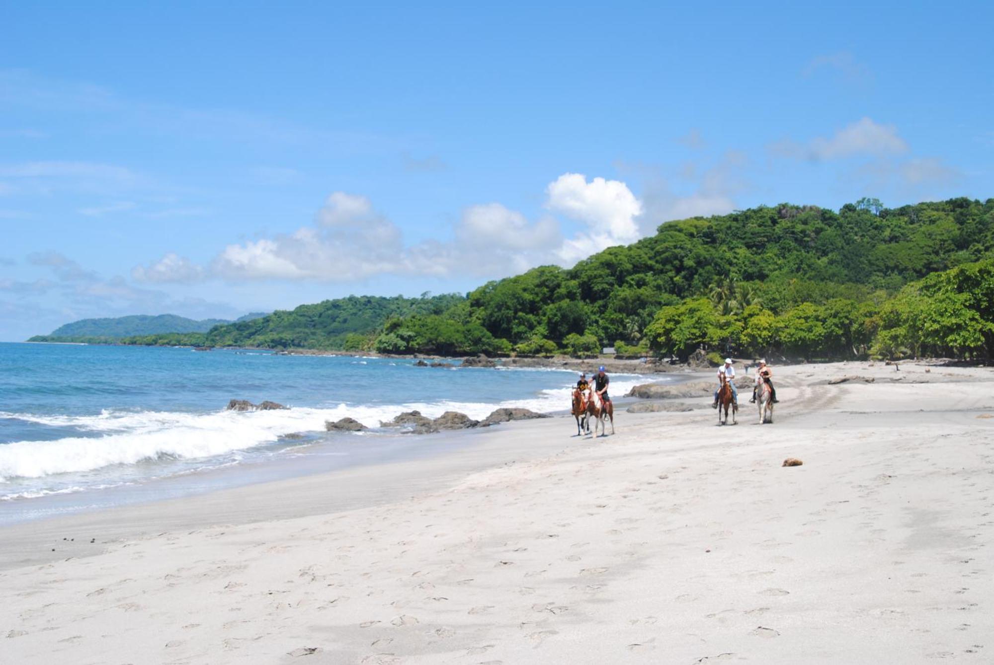 El Pargo Feliz Hotell Montezuma Eksteriør bilde